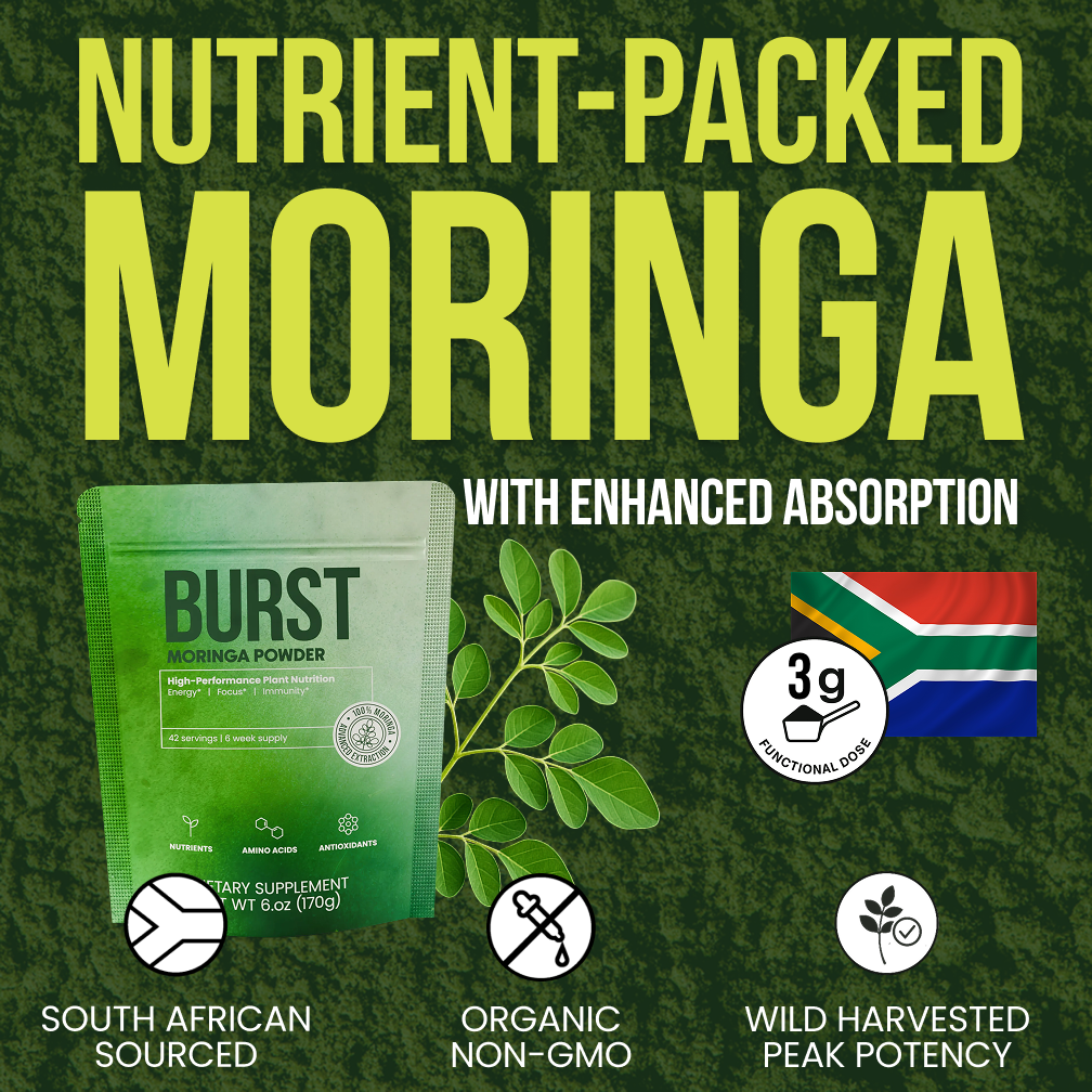 Moringa BURST Powder - 6 Week Supply Unlocking Maximum Absorption with CellBurst™ Technology